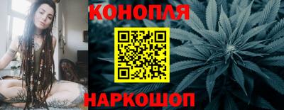 прущие крисы Гатчина